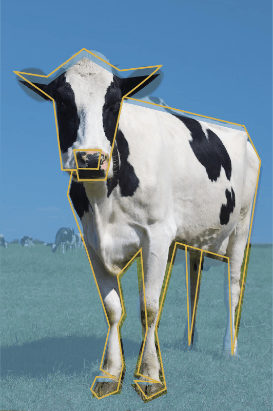 Photo vache avec traitement graphique - Argi Services